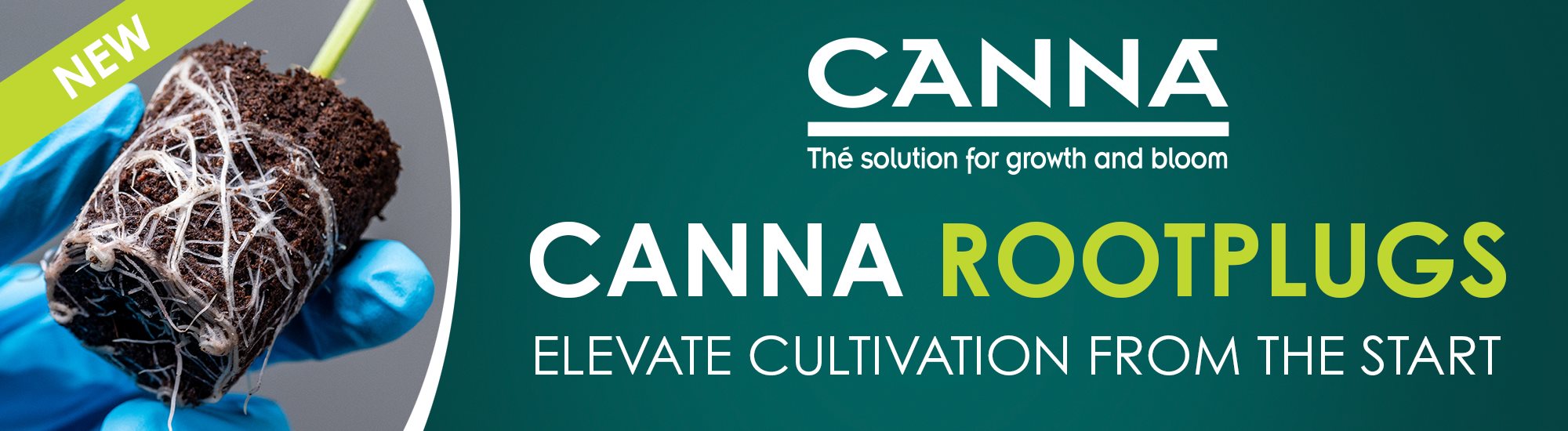 CANNA ROOTPLUGS WEB BANNER - ENG - BioFloral East